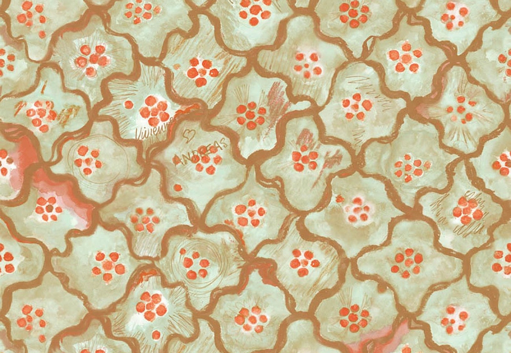 Обои Cole & Son Vivienne Westwood 130/6021