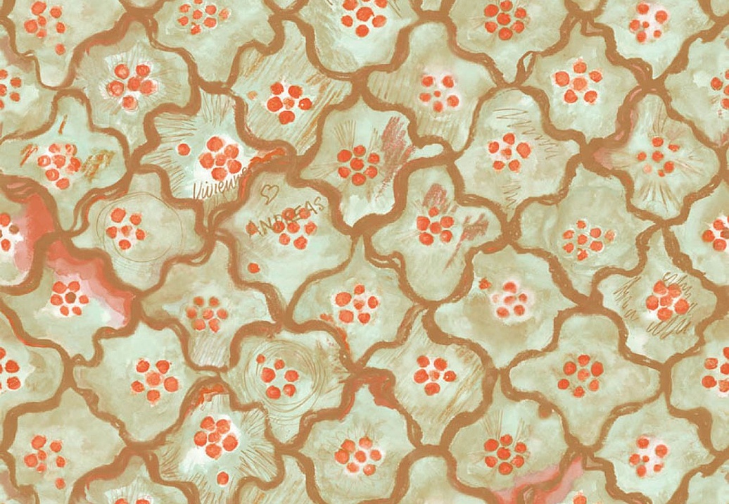 Обои Cole & Son Vivienne Westwood 130/6021