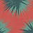 Обои Cole & Son Vivienne Westwood 130/7025