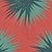 Обои Cole & Son Vivienne Westwood 130/7025