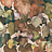 Обои Co.De Flora 00114