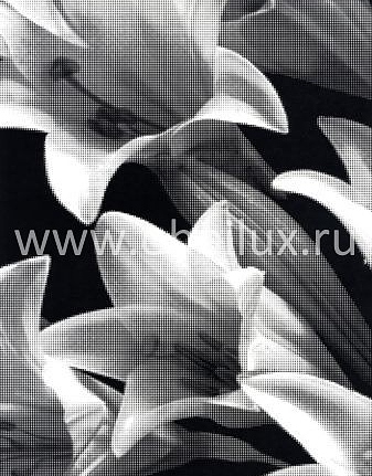 Обои Harlequin Identity 30730