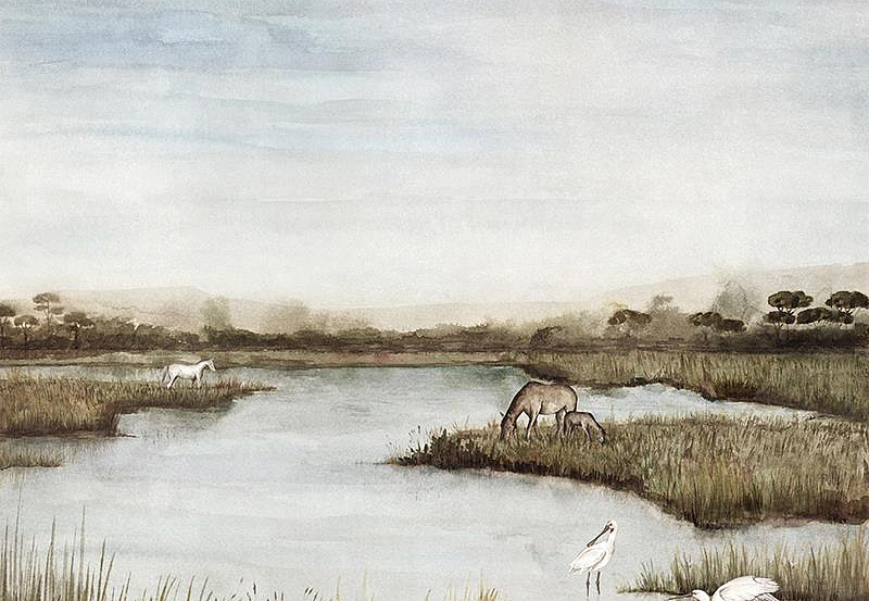 Панно и фотообои Marburg Камарг/Camargue 36934