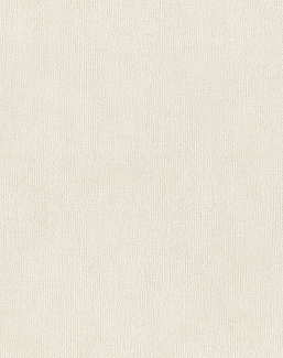 Обои Rasch Настенные структуры. Том 4 / Wall Textures XL Vol. 4 941449
