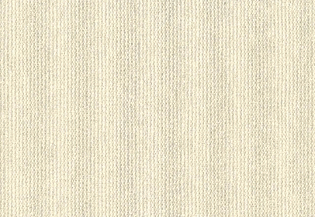 Обои Rasch Настенные структуры. Том 4 / Wall Textures XL Vol. 4 960778
