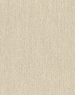 Обои Rasch Настенные структуры. Том 4 / Wall Textures XL Vol. 4 968576