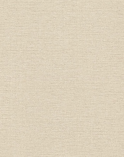 Обои Rasch Настенные структуры. Том 4 / Wall Textures XL Vol. 4 970609