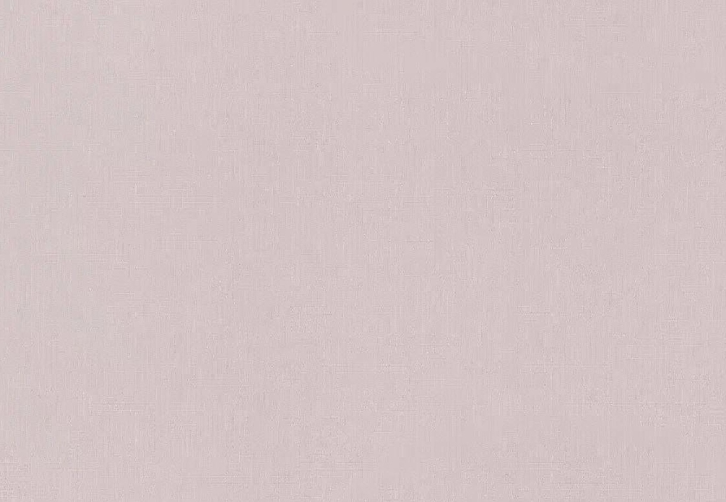 Обои Rasch Настенные структуры. Том 4 / Wall Textures XL Vol. 4 971484