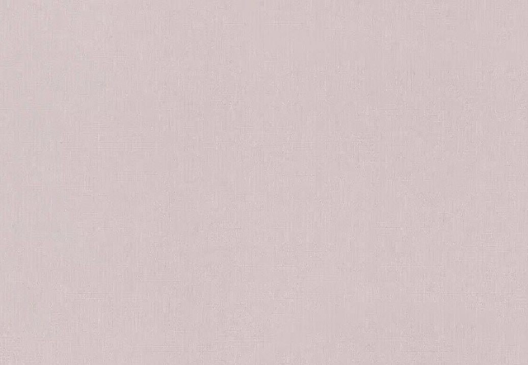 Обои Rasch Настенные структуры. Том 4 / Wall Textures XL Vol. 4 971484