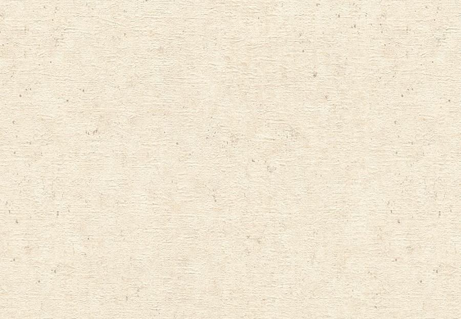 Обои Rasch Настенные структуры. Том 4 / Wall Textures XL Vol. 4 974218