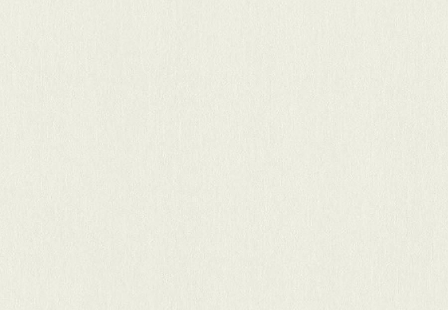 Обои Rasch Настенные структуры. Том 4 / Wall Textures XL Vol. 4 979350