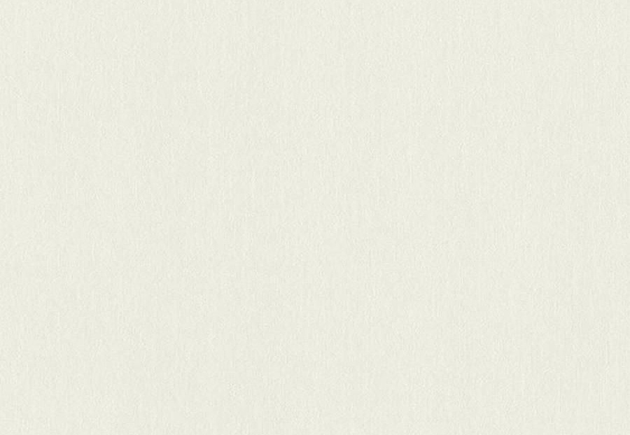 Обои Rasch Настенные структуры. Том 4 / Wall Textures XL Vol. 4 979350