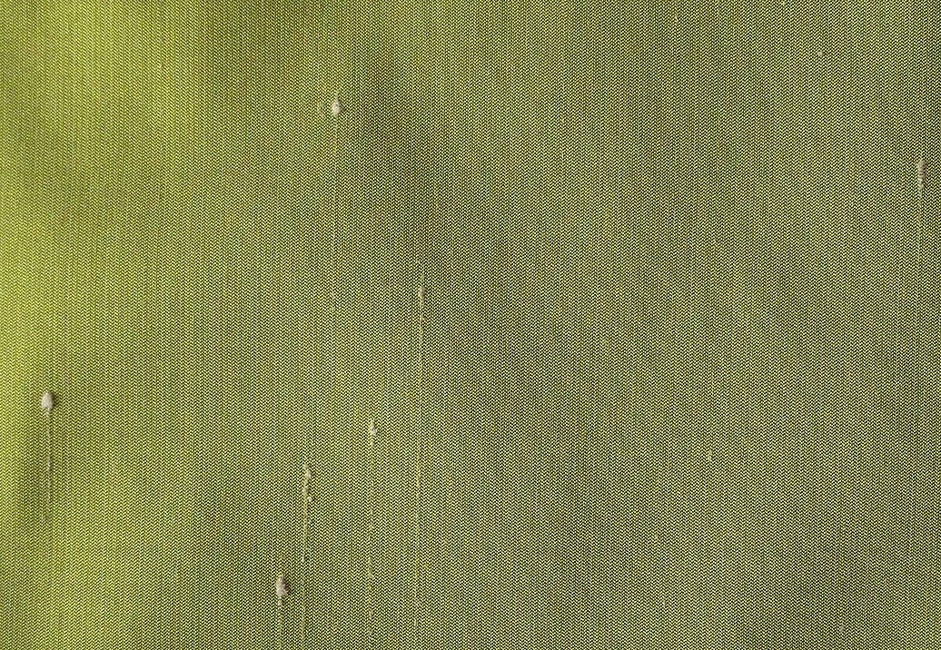 Ткань Colony Venere 36426-016