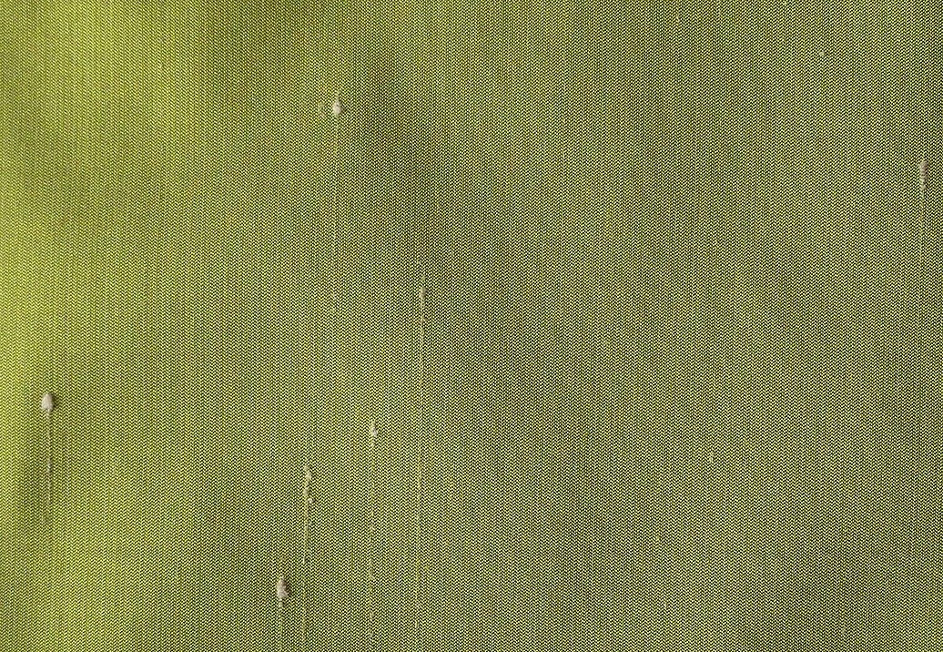 Ткань Colony Venere 36426-016