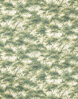 Ткань Clarke & Clarke Elements CCF0883-01