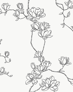 Обои York Magnolia Home Vol. 4 MF4731