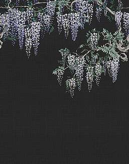 Панно и фотообои LondonArt Kimono KMN07-C