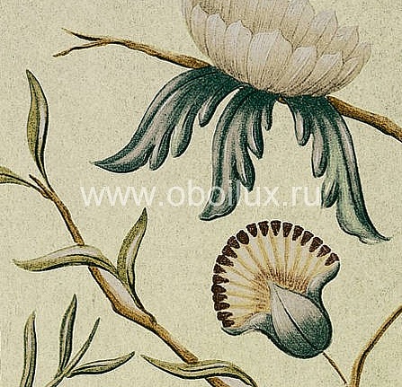 Обои Lewis & Wood Wide Width Wallpapers LW13193/Adams Eden Verdure