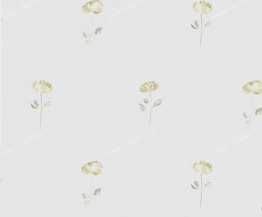Обои Casadeco Illustration ILL18531109