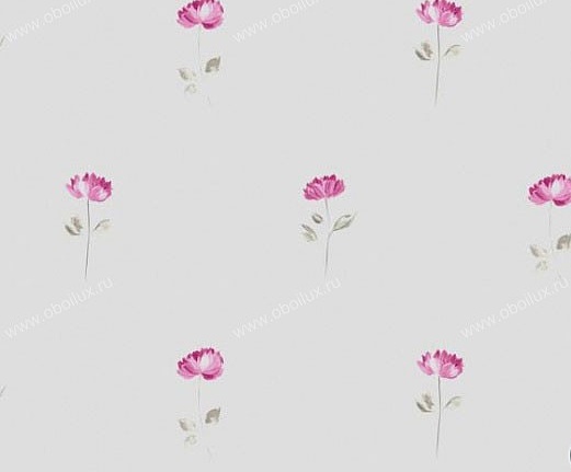 Обои Casadeco Illustration ILL18535107