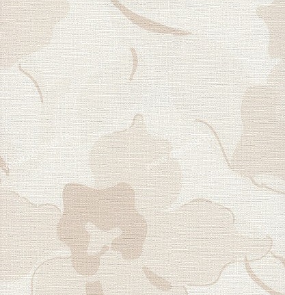 Обои Casadeco Heaven HEA19531112