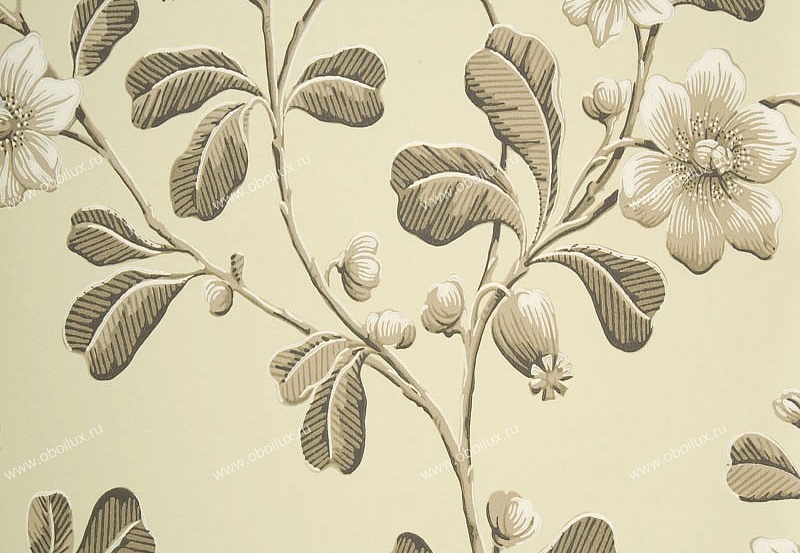 Обои Little Greene London Wallpapers 0277BRAPPLE