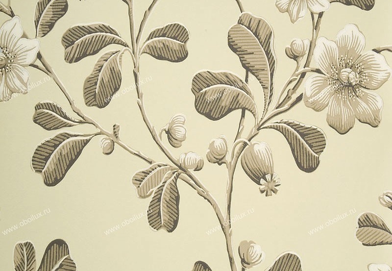 Обои Little Greene London Wallpapers 0277BRAPPLE