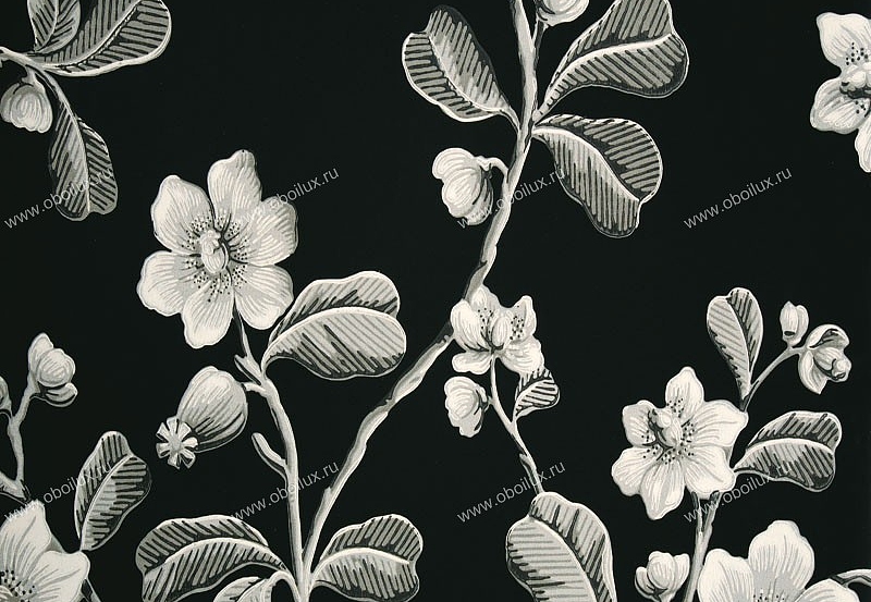 Обои Little Greene London Wallpapers 0277BRMIDNI
