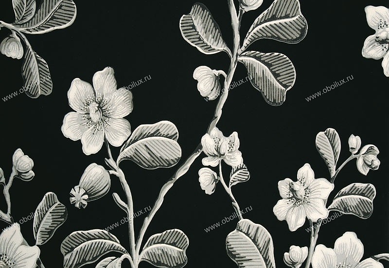 Обои Little Greene London Wallpapers 0277BRMIDNI