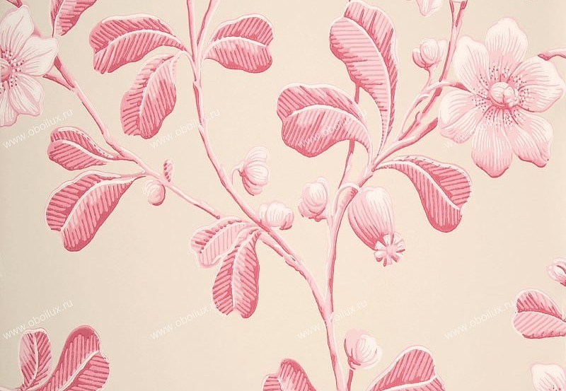 Обои Little Greene London Wallpapers 0277BRROSEA