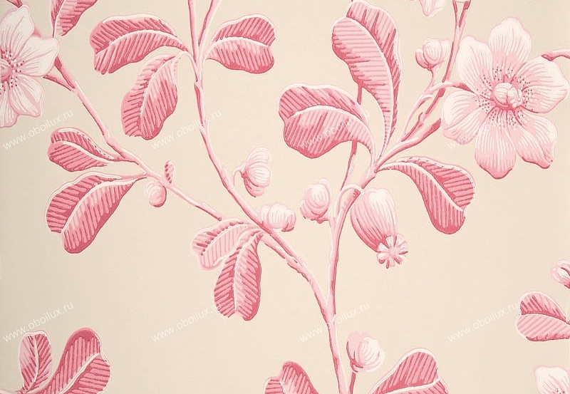 Обои Little Greene London Wallpapers 0277BRROSEA