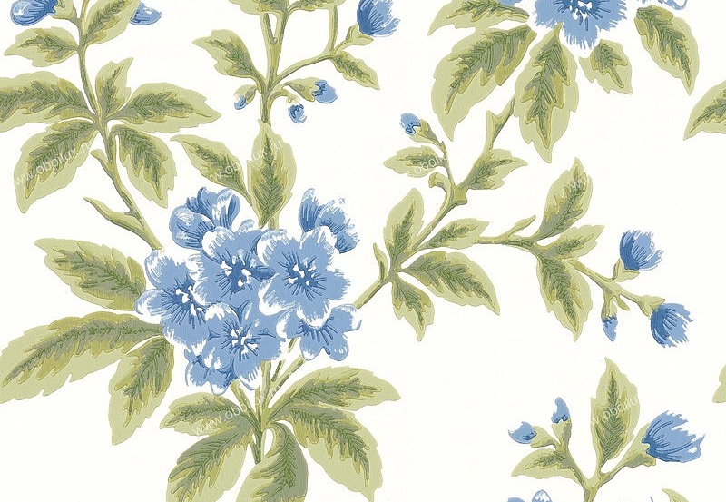 Обои Little Greene London Wallpapers III 0282GRCORNF