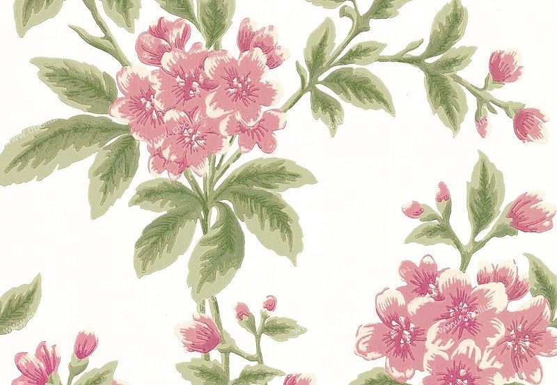 Обои Little Greene London Wallpapers III 0282GRPARLO