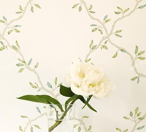 Обои Colefax and Fowler Small Designs 07706-01