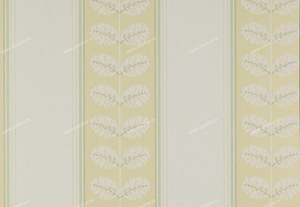 Обои Colefax and Fowler Ashbury 07992-03