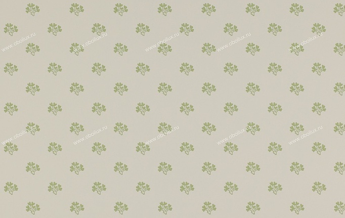 Английские обои Colefax and Fowler, коллекция Ashbury, артикул 07983-04