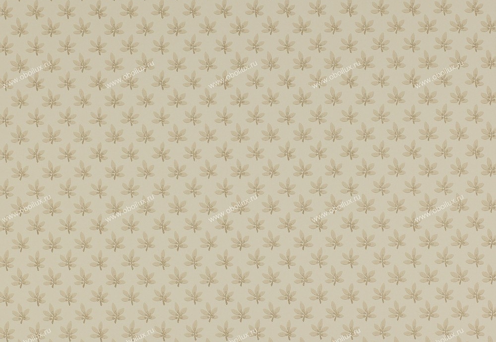 Обои Colefax and Fowler Ashbury 07984-01