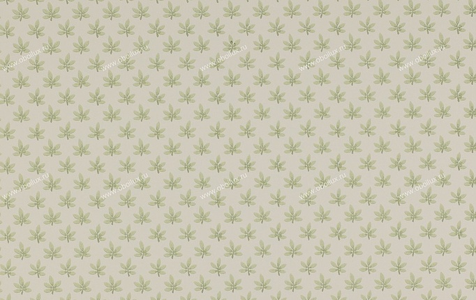 Английские обои Colefax and Fowler, коллекция Ashbury, артикул 07984-02