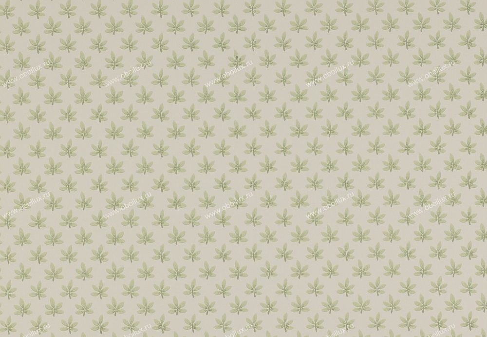 Обои Colefax and Fowler Ashbury 07984-02
