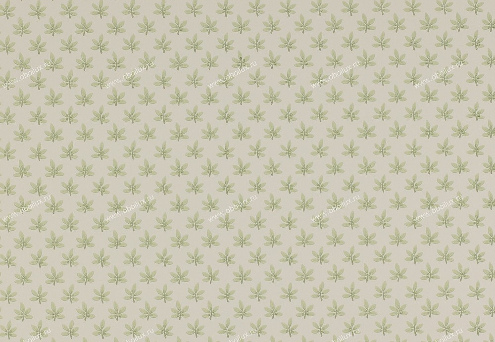 Обои Colefax and Fowler Ashbury 07984-02