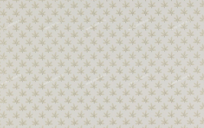 Английские обои Colefax and Fowler, коллекция Ashbury, артикул 07984-04