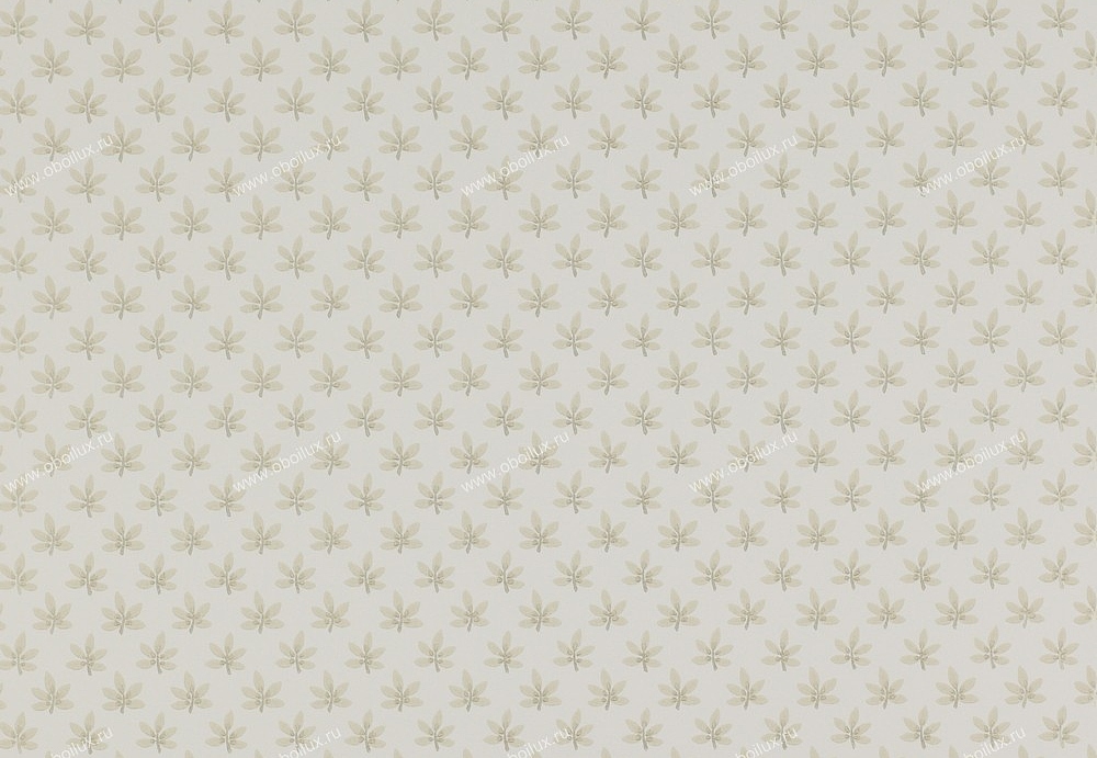 Обои Colefax and Fowler Ashbury 07984-04
