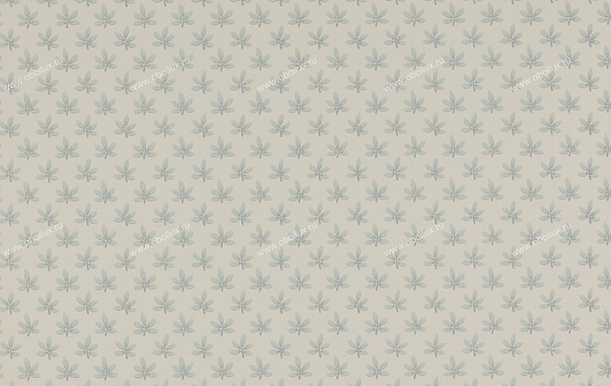 Английские обои Colefax and Fowler, коллекция Ashbury, артикул 07984-05