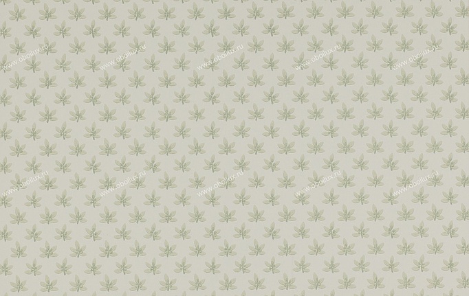 Английские обои Colefax and Fowler, коллекция Ashbury, артикул 07984-06