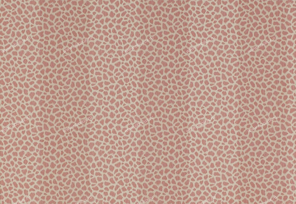 Обои Colefax and Fowler Chartworth Stripes 07140-02