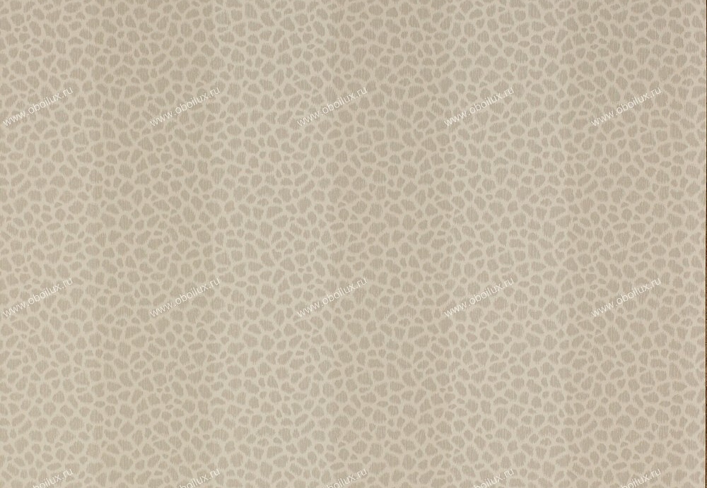 Обои Colefax and Fowler Chartworth Stripes 07140-04
