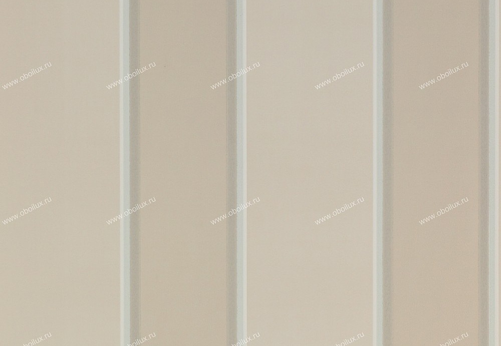 Обои Colefax and Fowler Chartworth Stripes 07145-02