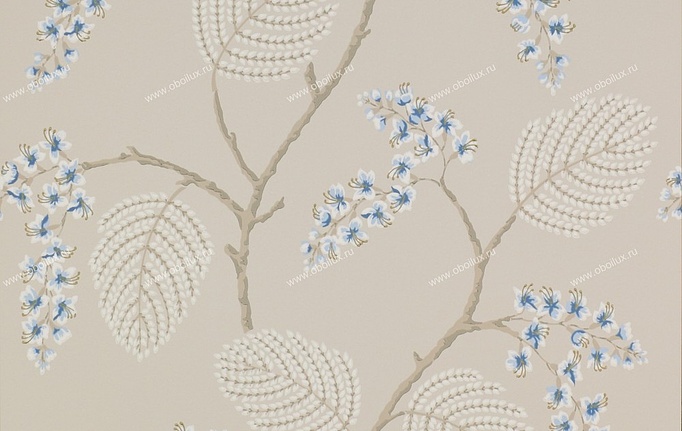 Английские обои Colefax and Fowler, коллекция Celestine, артикул 07141-06