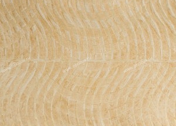 Обои Carl Robinson Edition 4 CB40205