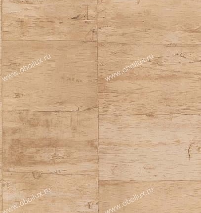 Обои Lutece Reality 51122707
